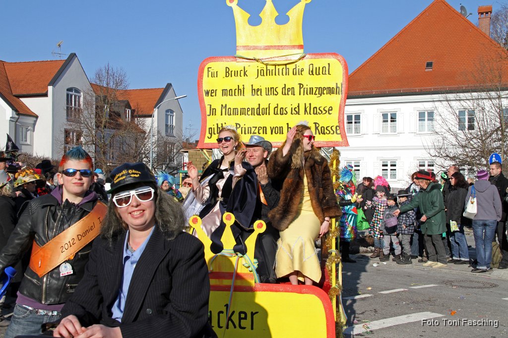 2012-02-21_078_Faschingszug_TF.JPG