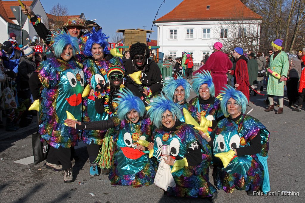2012-02-21_079_Faschingszug_TF.JPG