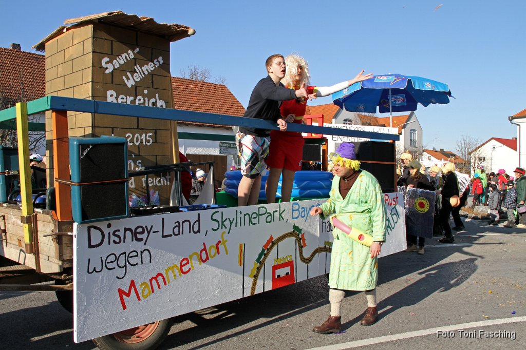 2012-02-21_080_Faschingszug_TF.JPG