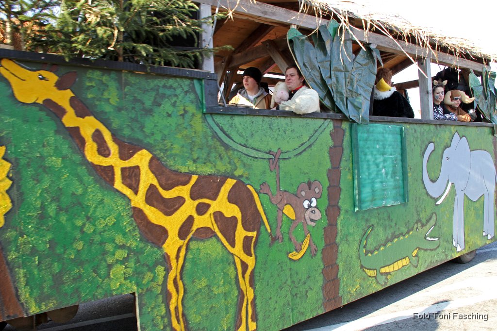 2012-02-21_097_Faschingszug_TF.JPG