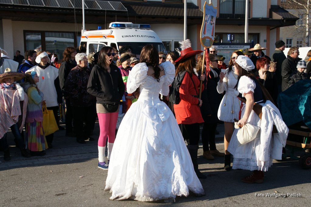 2012-02-21_059_Faschingszug_WP.JPG