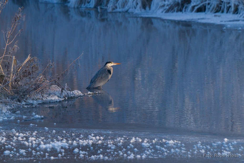 2012-02-05_07_Impressionen_Februar_3607_RH.jpg