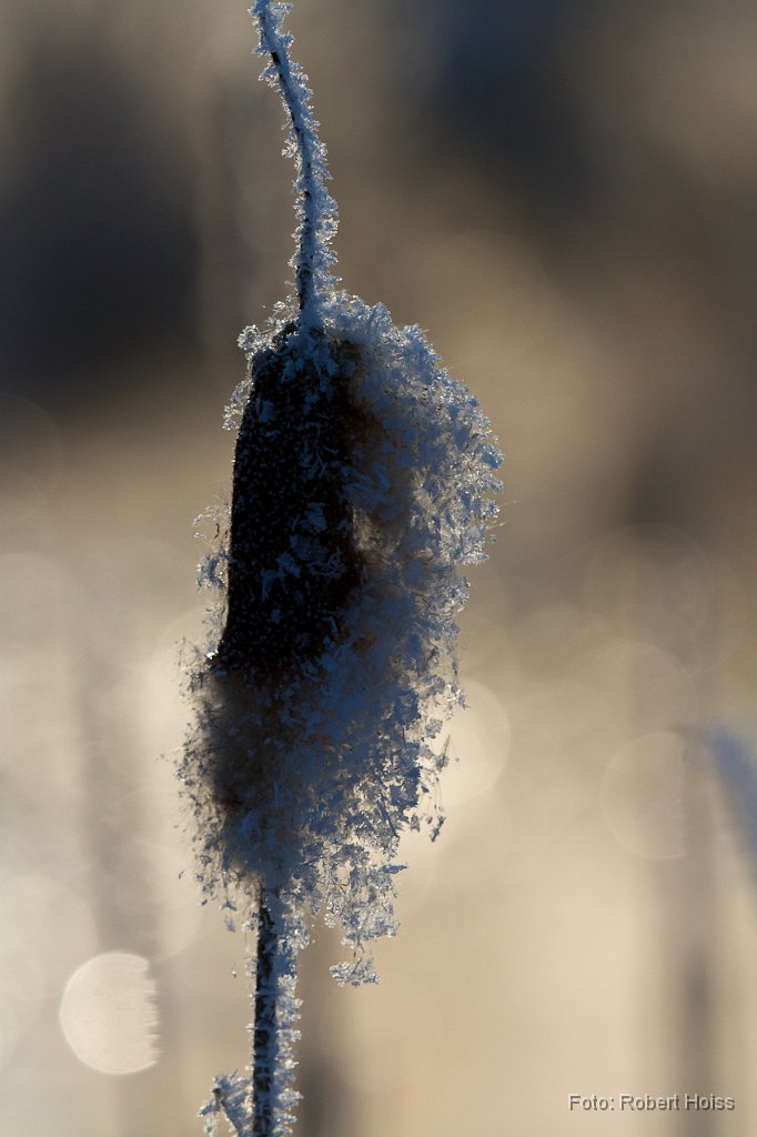 2012-02-05_09_Impressionen_Februar_3660_RH.jpg