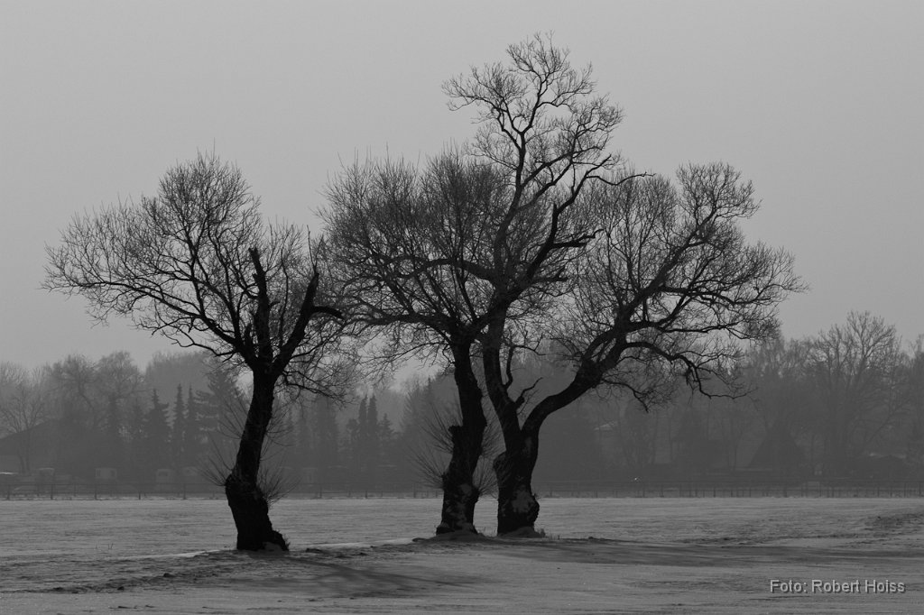 2012-02-12_21_Impressionen_Februar_2894_RH.jpg