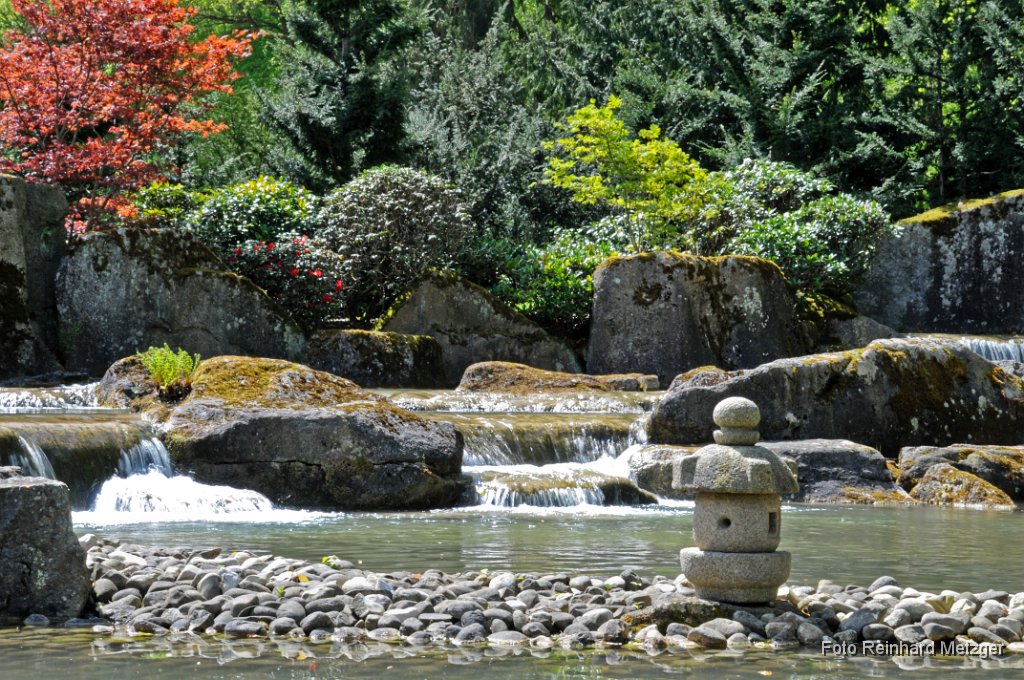 2012-04-30_24_Japanischer_Garten_RM.jpg