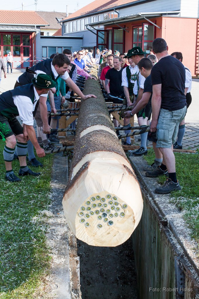 2012-05-01_02_Maibaum_0975_RH.jpg