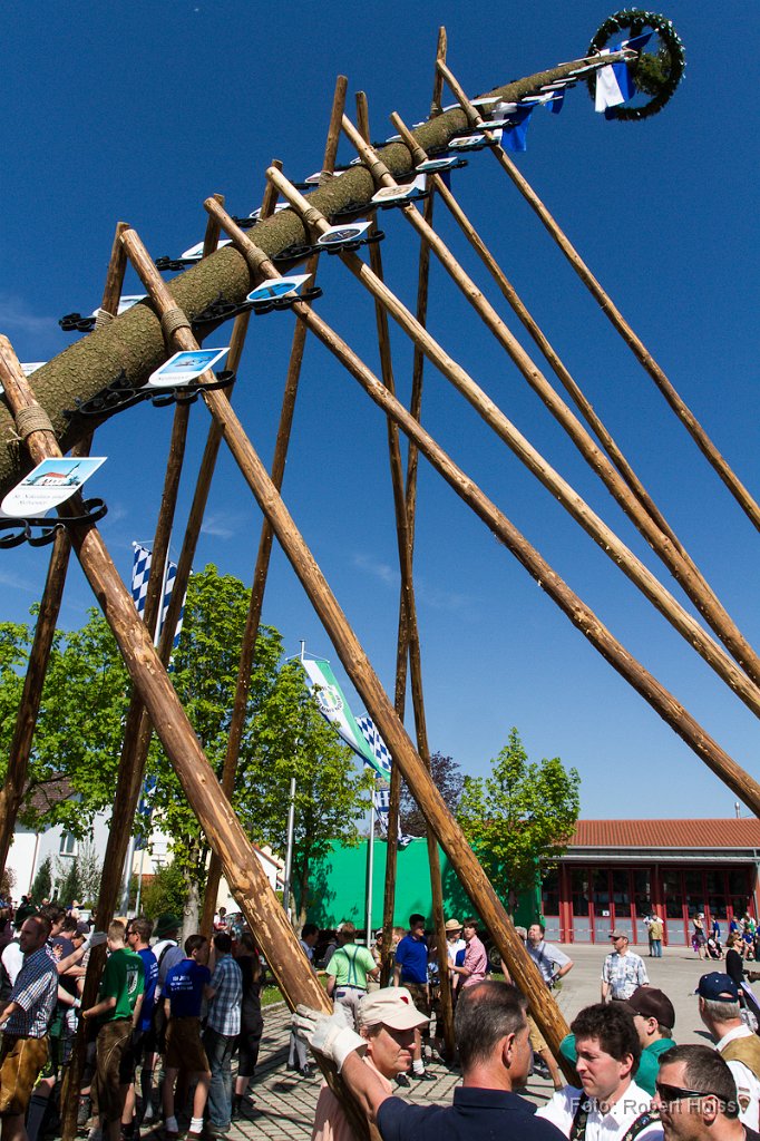 2012-05-01_36_Maibaum_1059_RH.jpg