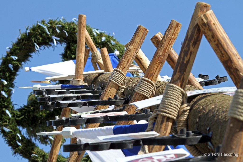 2012-05-01_012_Maibaum_TF.JPG