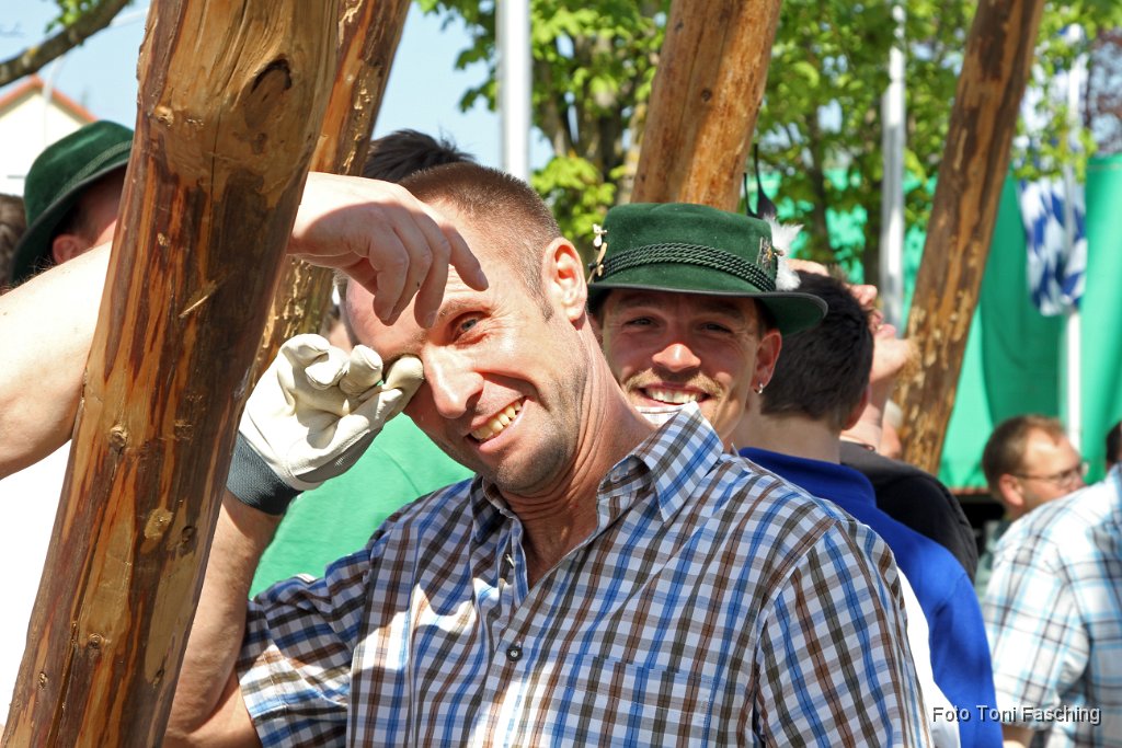 2012-05-01_025_Maibaum_TF.JPG
