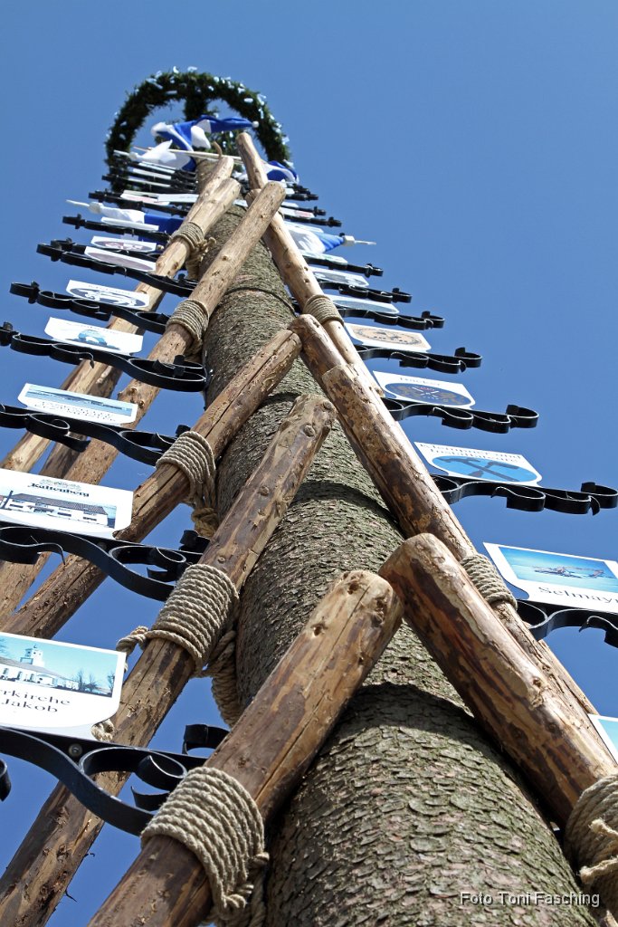 2012-05-01_026_Maibaum_TF.JPG