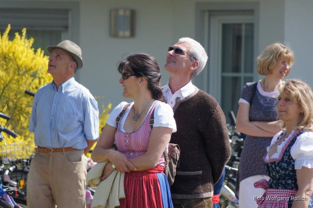 2012-05-01_015_Maibaum_WP.JPG