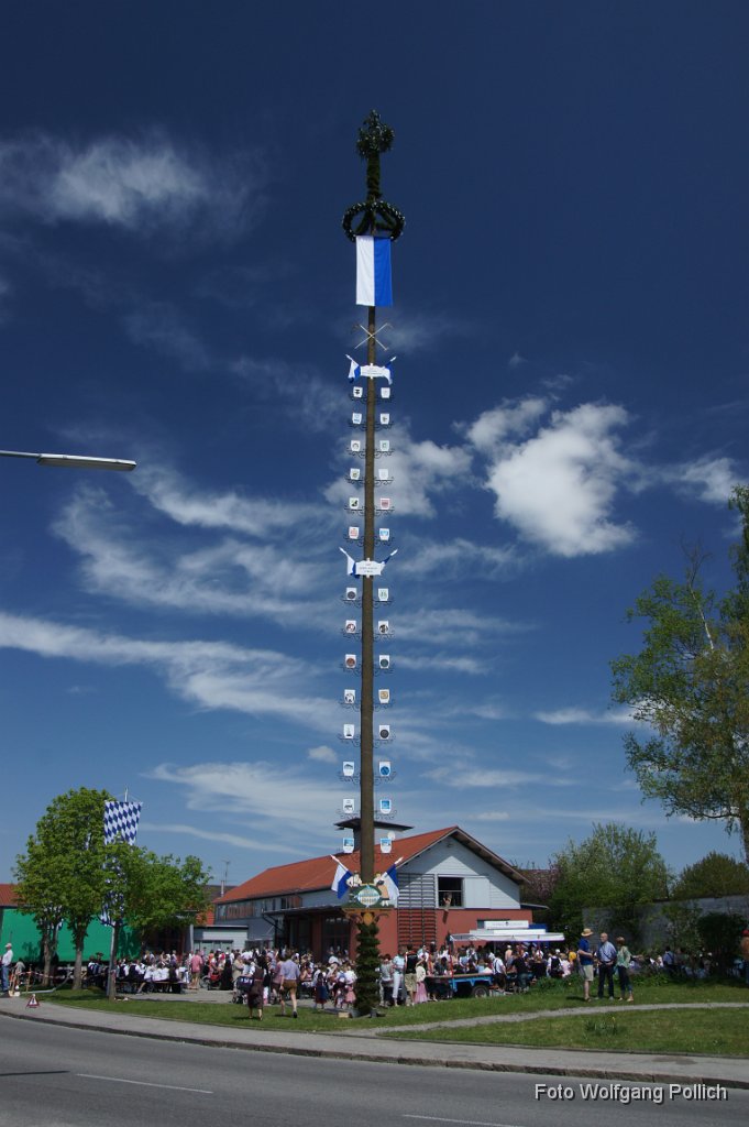 2012-05-01_043_Maibaum_WP.JPG