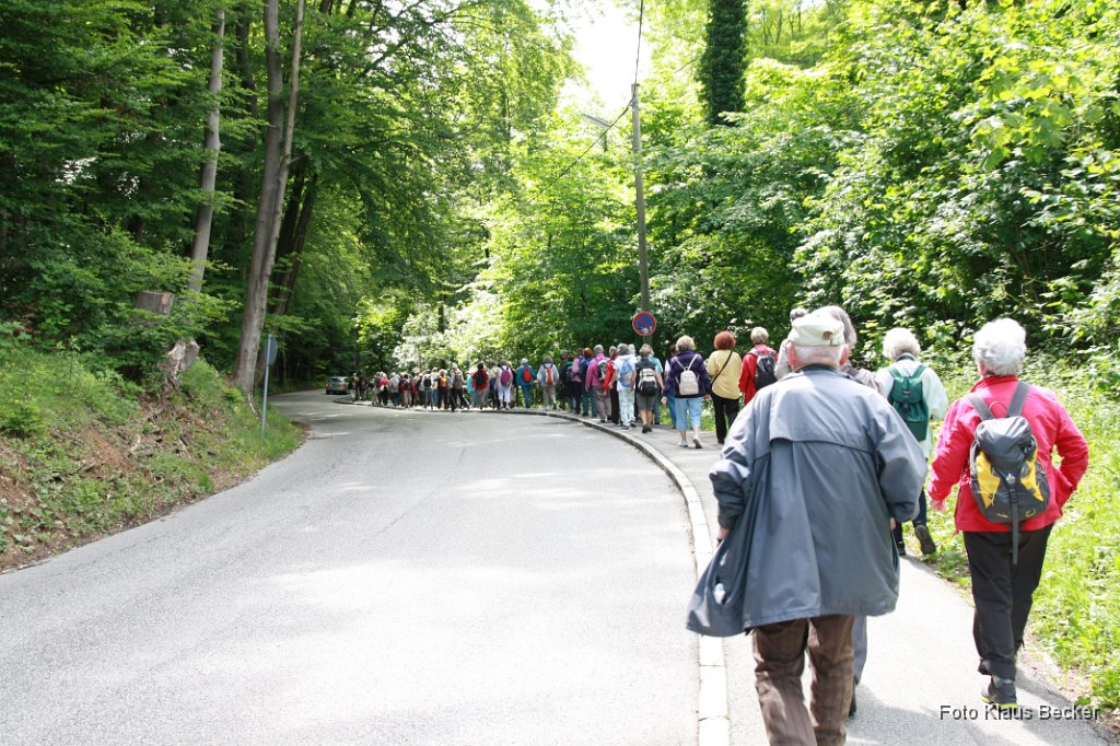2012-06-14_003_Wanderung_Elisabethweg_KB.jpg