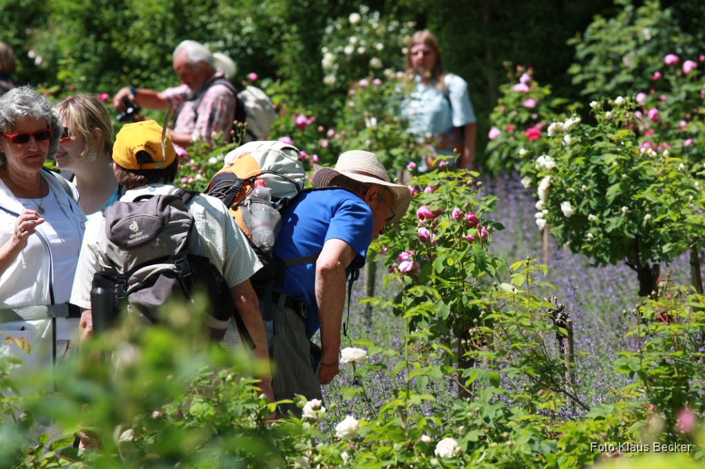 2012-06-14_042_Wanderung_Elisabethweg_KB.jpg