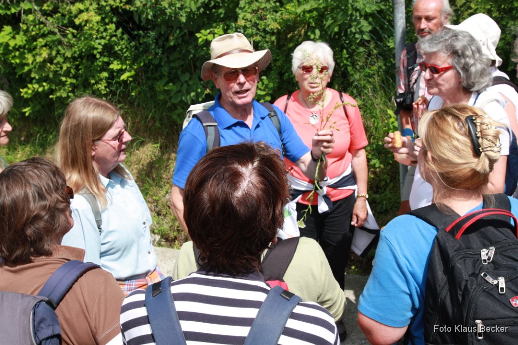2012-06-14_063_Wanderung_Elisabethweg_KB.jpg