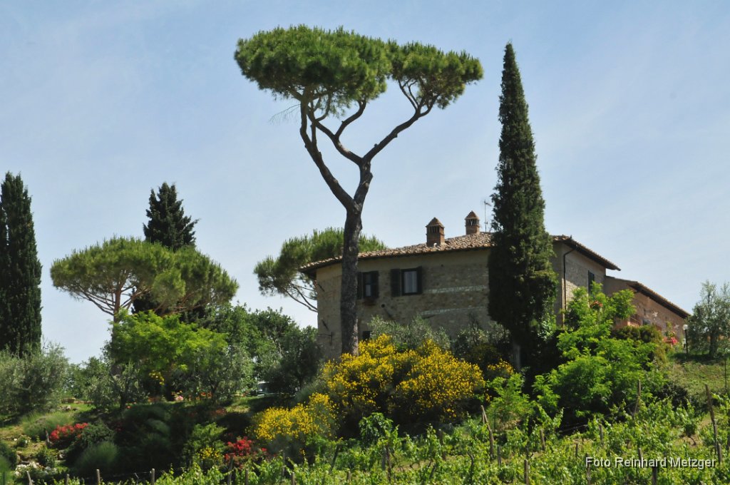 2012-06-30_09_Toscana_RM.jpg - San Gimignano, Toscana, Italia