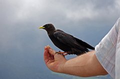 2012-08-31_006_Wendelstein_MP