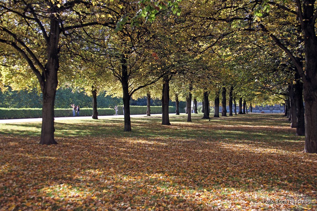 2012-10-19_04_Hofgarten_TF.JPG
