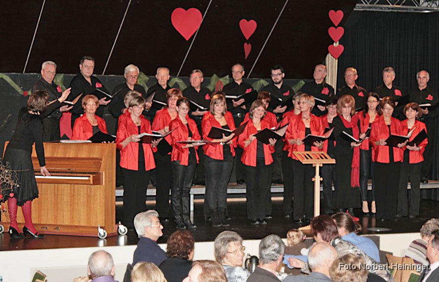 2012-11-11_07_Kaffeekonzert-Gesangverein_NH.jpg
