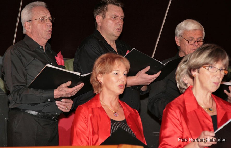 2012-11-11_12_Kaffeekonzert-Gesangverein_NH.jpg