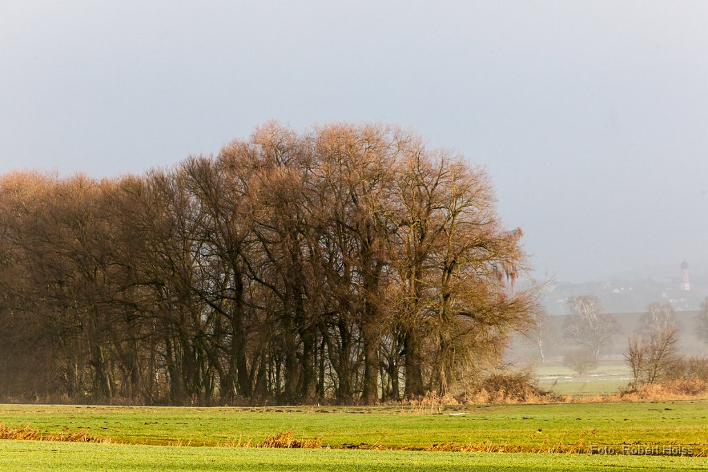 2012-12-31_25_bei_Nassenhausen_0948_RH.jpg