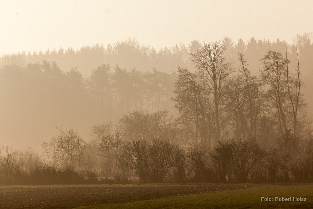 2012-12-31_27_bei_Nassenhausen_0950_RH.jpg