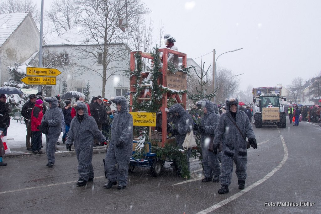 2013-02-12_021_Faschingszug_MP.jpg