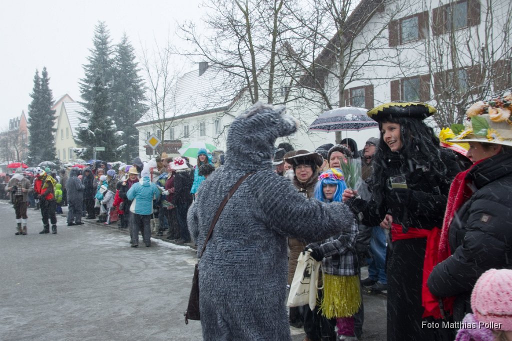 2013-02-12_022_Faschingszug_MP.jpg