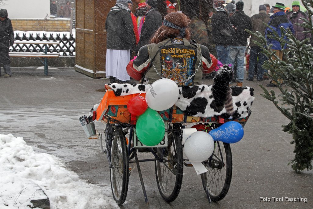 2013-02-12_13_Faschingszug_TF.JPG