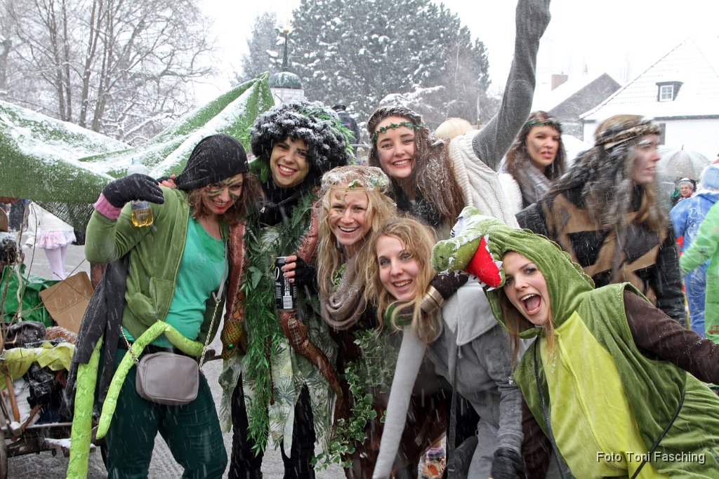 2013-02-12_25_Faschingszug_TF.JPG