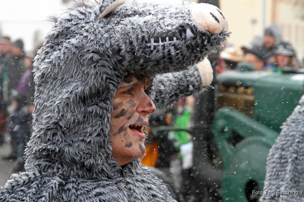 2013-02-12_45_Faschingszug_TF.JPG