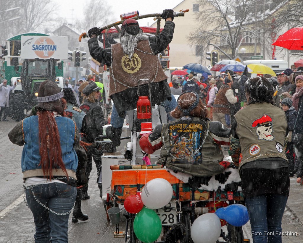 2013-02-12_50_Faschingszug_TF.JPG