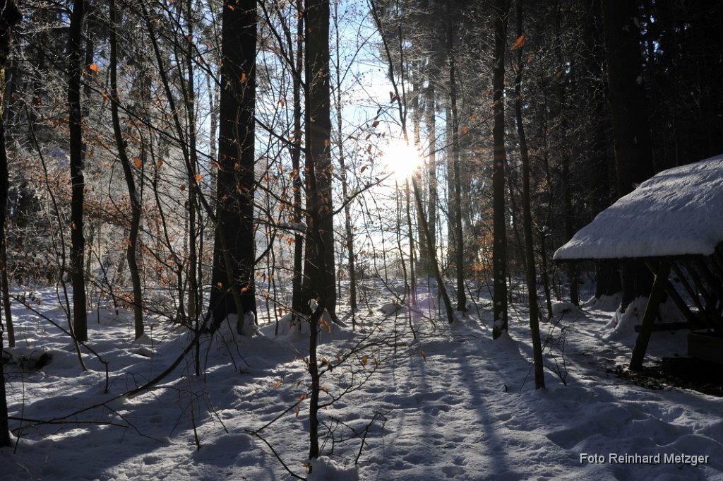 2013-02-28_02_Winterwald_9276_RM.jpg