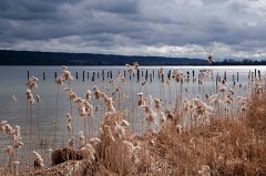 2013-03-31_08_Ammersee_0277_RM
