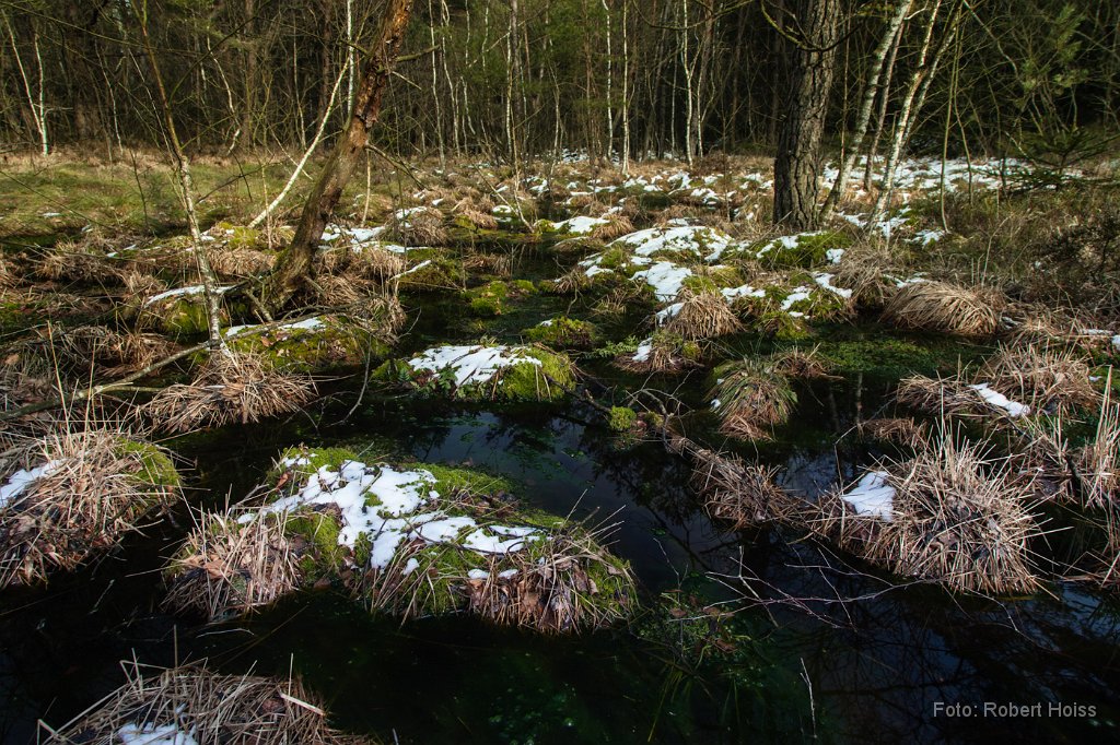 2013-03-29_29_Haspelmoor_4924_RH.jpg