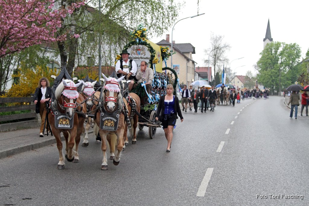 2013-05-03_22_Volksfesteinzug_TF.JPG