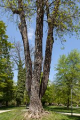 2013-05-09_21_Besuch_aus_Brem_Ammersee_6821_RH