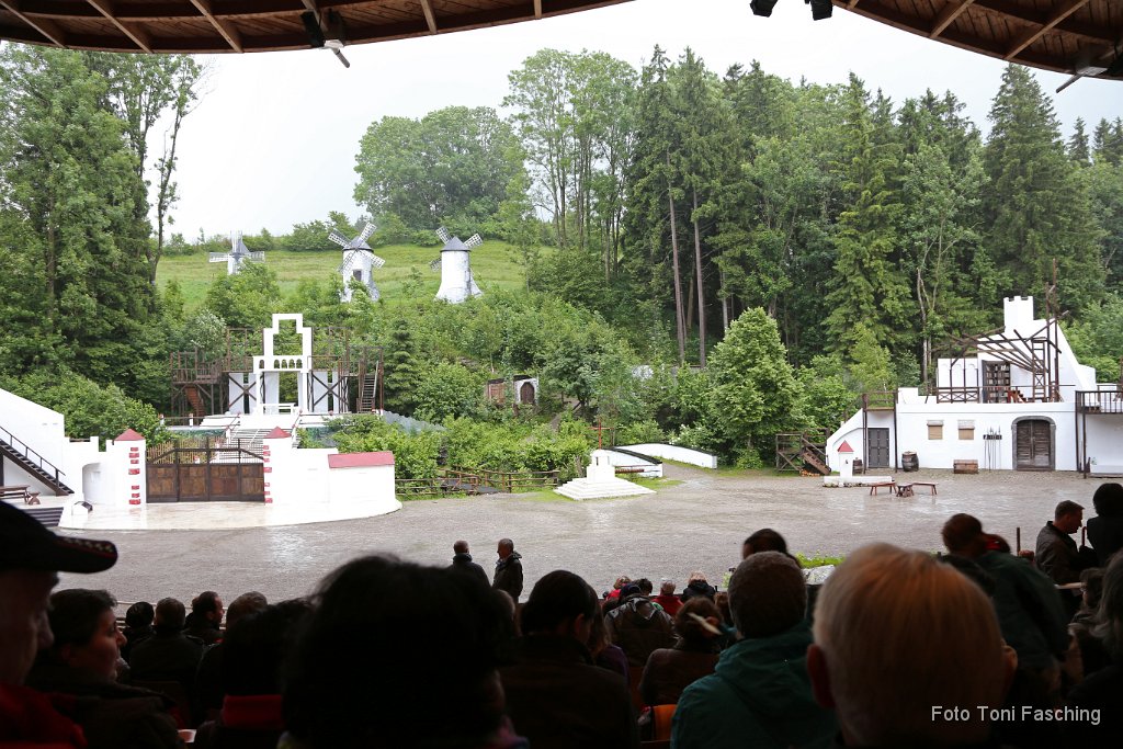 2013-06-29_05_Altusried_Don-Quijote_TF.JPG