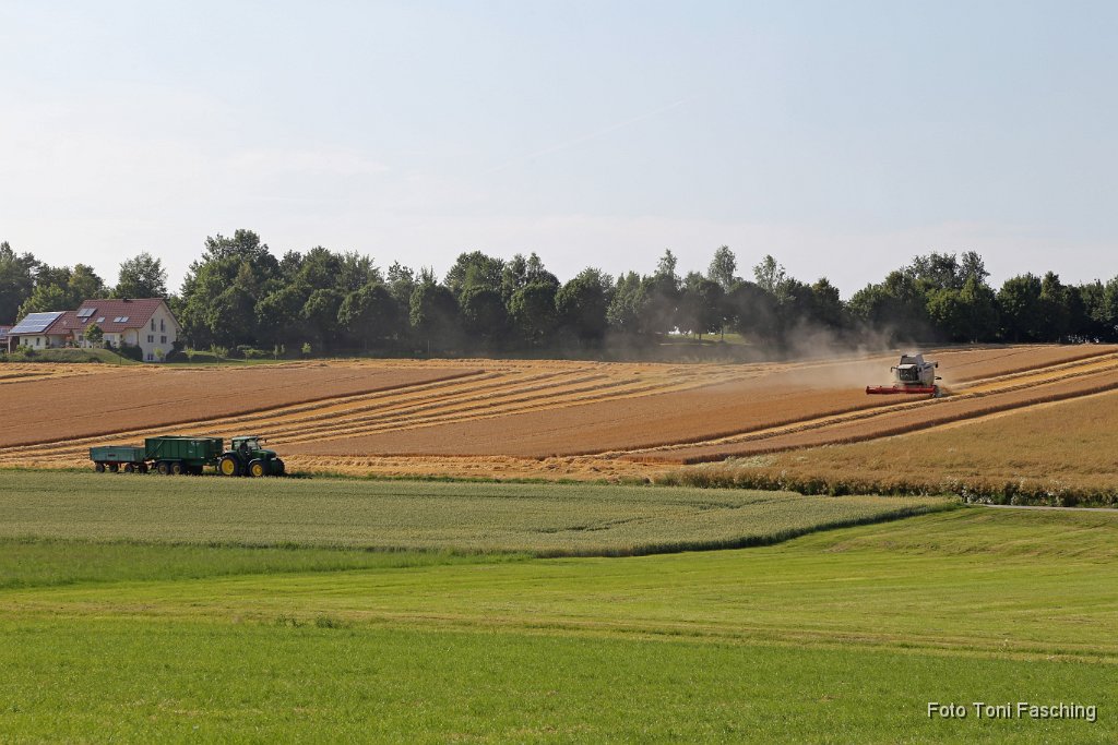 2013-07-17_002_Ernte_Guenzlhofen_TF.JPG