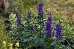 2013-08-31_23_Grossglockner_5094_RH