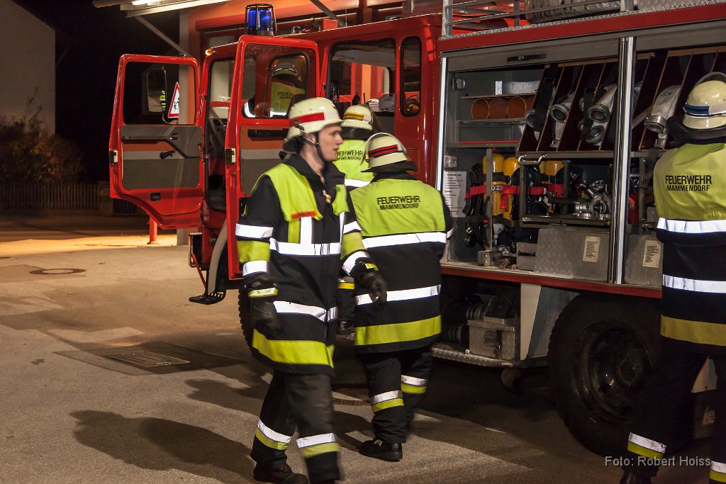 2013-10-30_07_Feuerwehr_Leistungsabzeichen_9551_RH.jpg