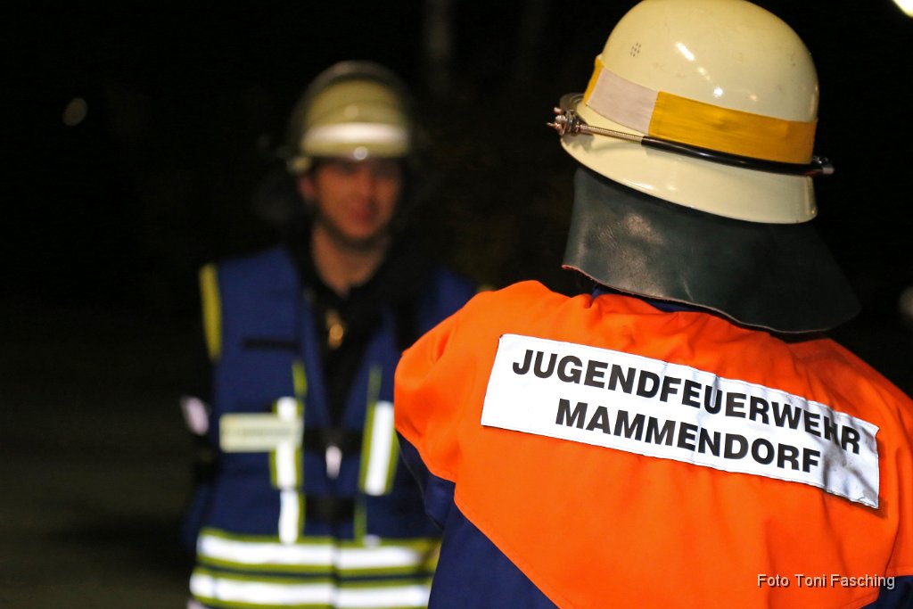 2013-10-31_19_Feuerwehr_Leistungsabzeichen_TF.JPG