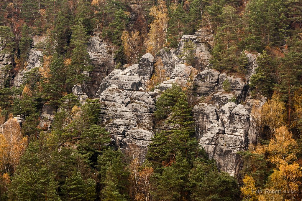2013-11-31_06_Elbsandsteingebirge_9773_RH.jpg