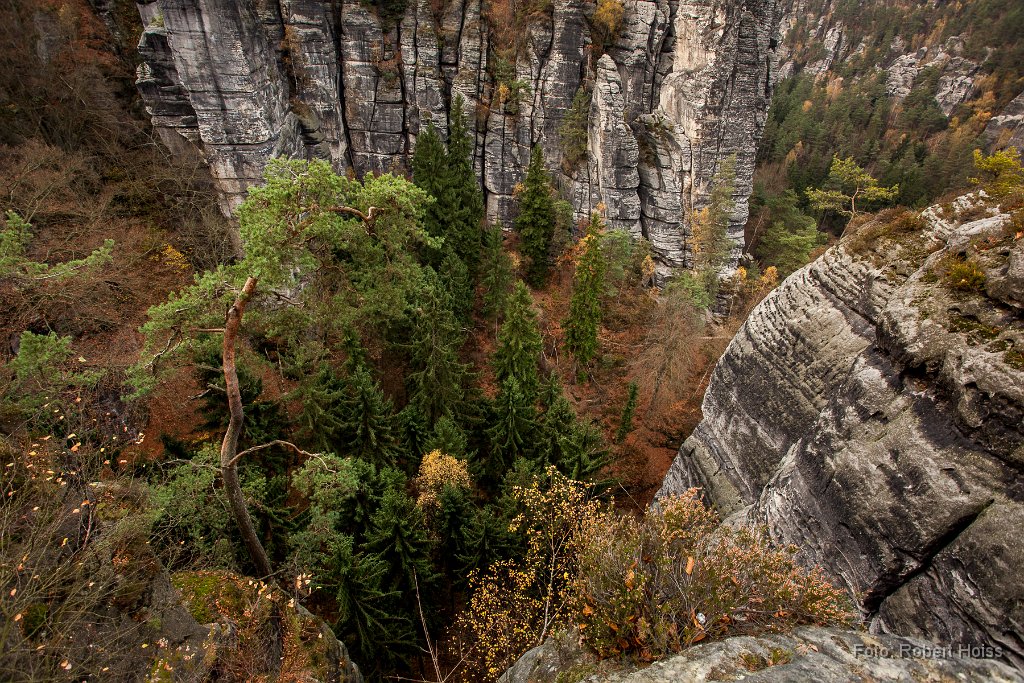 2013-11-31_08_Elbsandsteingebirge_9800_RH.jpg