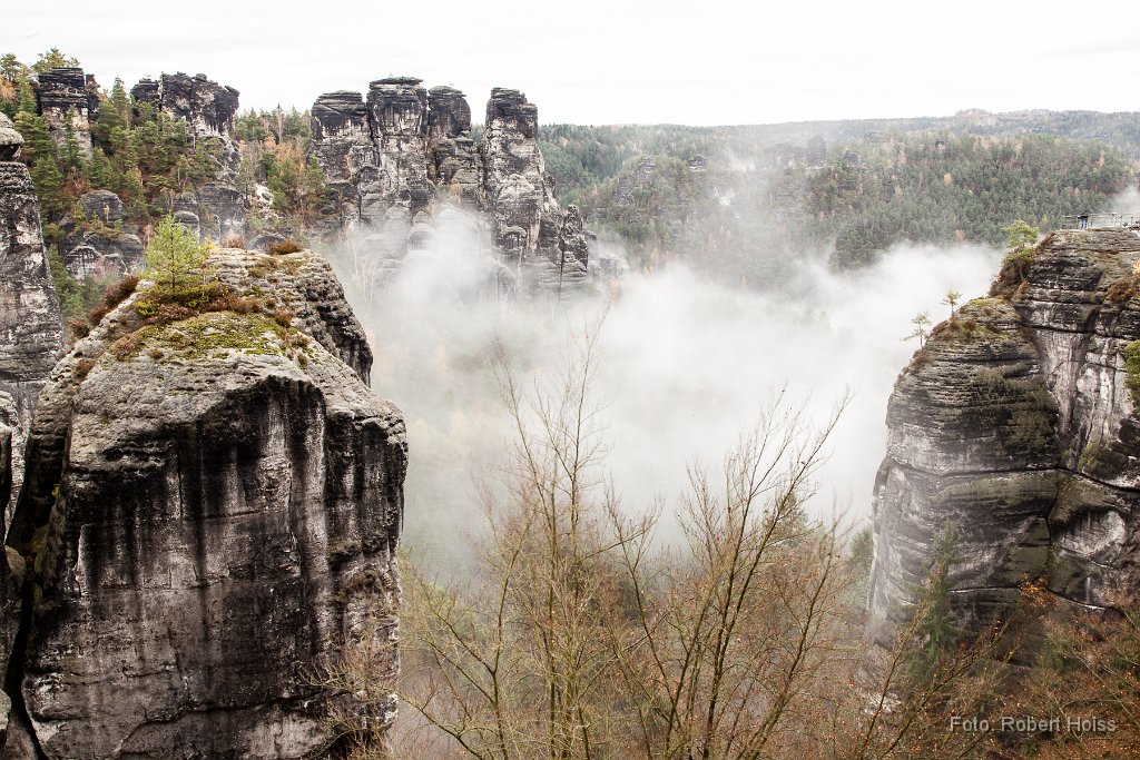 2013-11-31_37_Elbsandsteingebirge_0090_RH.jpg
