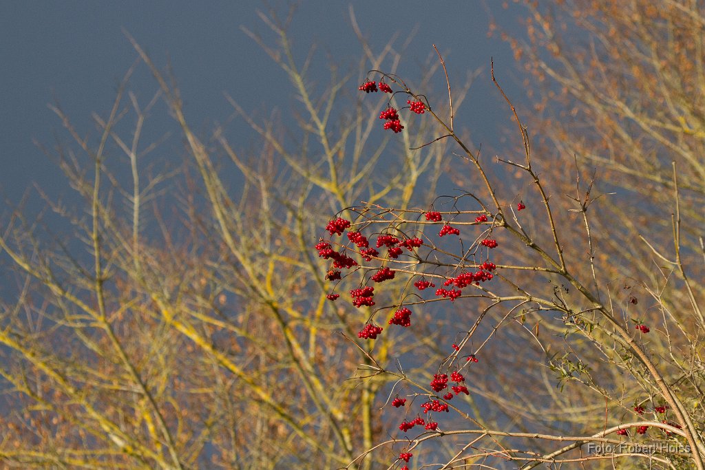 2013-12-31_01_Dezember_7244_RH.jpg