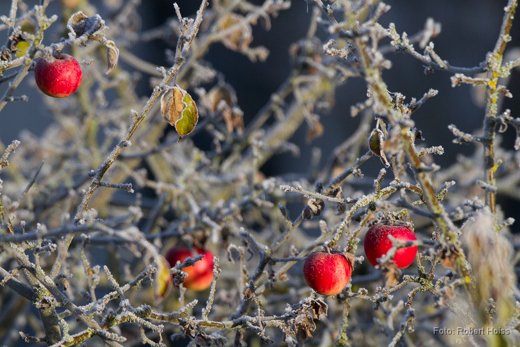 2013-12-31_02_Dezember_7250_RH.jpg