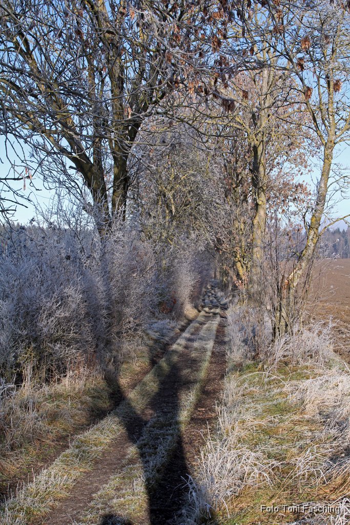 2013-12-31_04_Raureif_TF.JPG