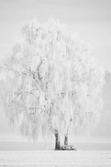 2014-01-31_07_Reif_8524_RM