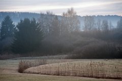 2014-01-31_09_Moorwiese_8536_RM